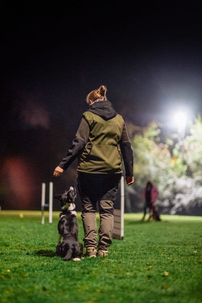 Obedience Training – Fußarbeit beim PHV Karlsruhe