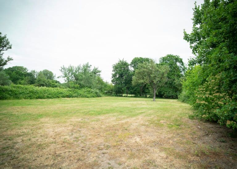 Hintere Wiese PHV Karlsruhe