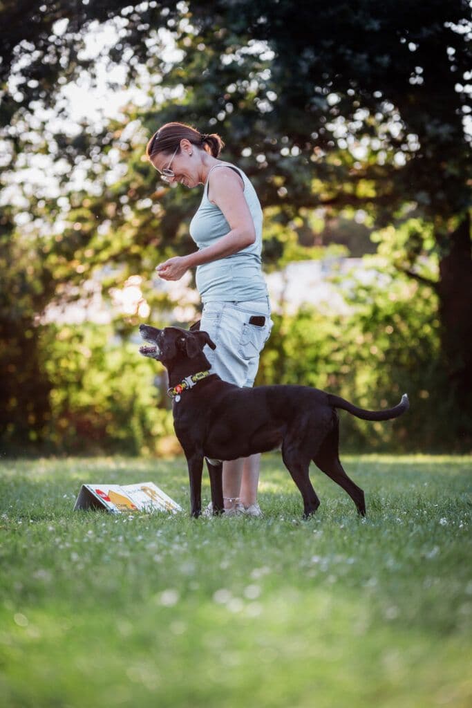 Rally Obedience Parcours