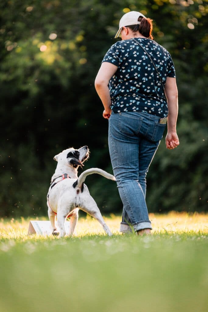 Rally Obedience Trainingsgruppe